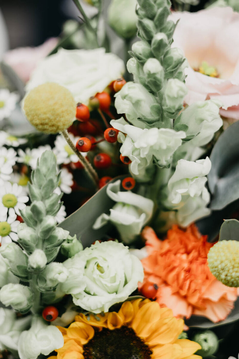 Nahaufnahme Blumen